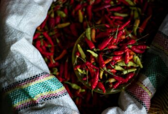 Image forYour Guide to Latin American Ingredients